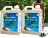 2 x 1 Litre BANABAN Extra Virgin Coconut Oil - EASY POUR
