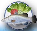 Team Economics Pty Ltd (Practical Aquaponics)